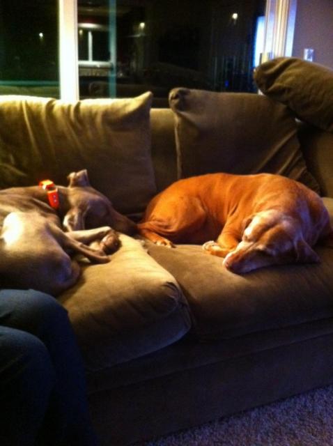 Annabelle and Olive